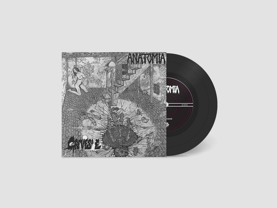 Anatomia / Gravesite – Impalement / In The Basement Of The Old House