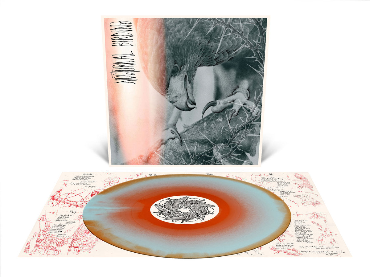 Author & Punisher – Nocturnal Birding