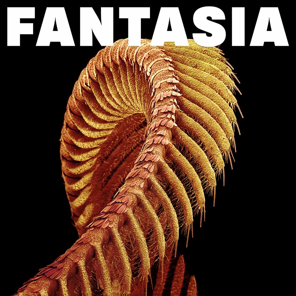 Slift - Fantasia