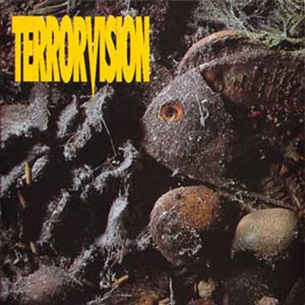 Terrorvision – Formaldehyde CD