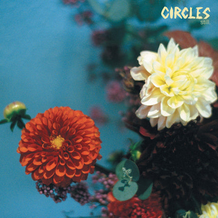 Circles (3) : still.  (LP)