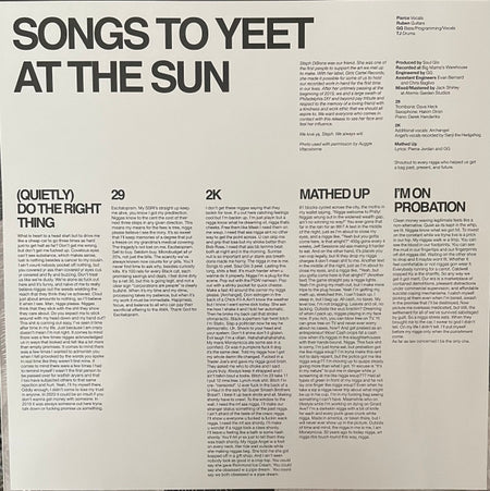 Soul Glo : Songs To Yeet At The Sun (12",45 RPM,Single Sided,Limited Edition,Repress)