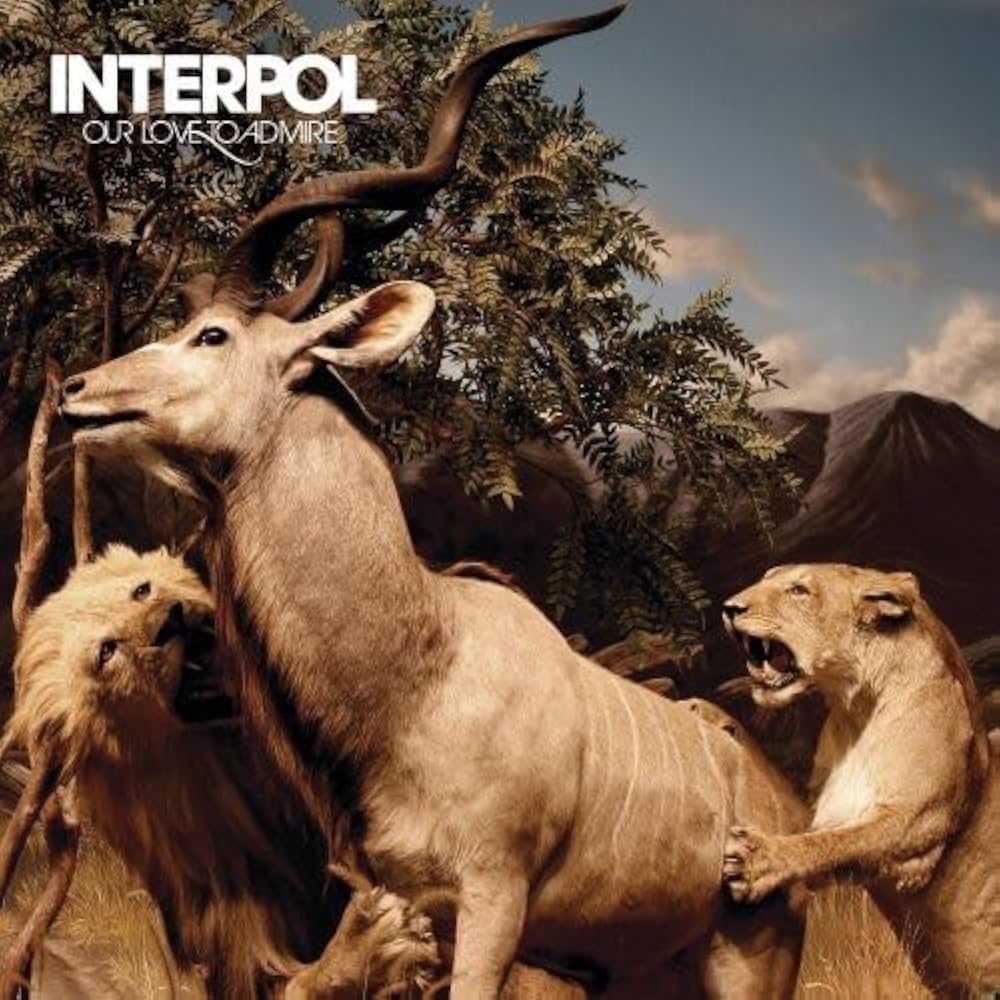 Interpol – Our Love To Admire CD