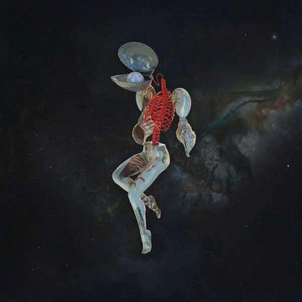 Hail Spirit Noir – Fossil Gardens