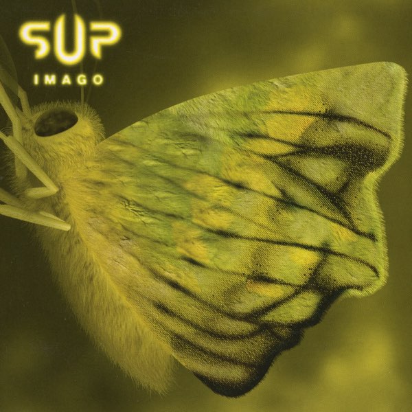 SUP – Imago