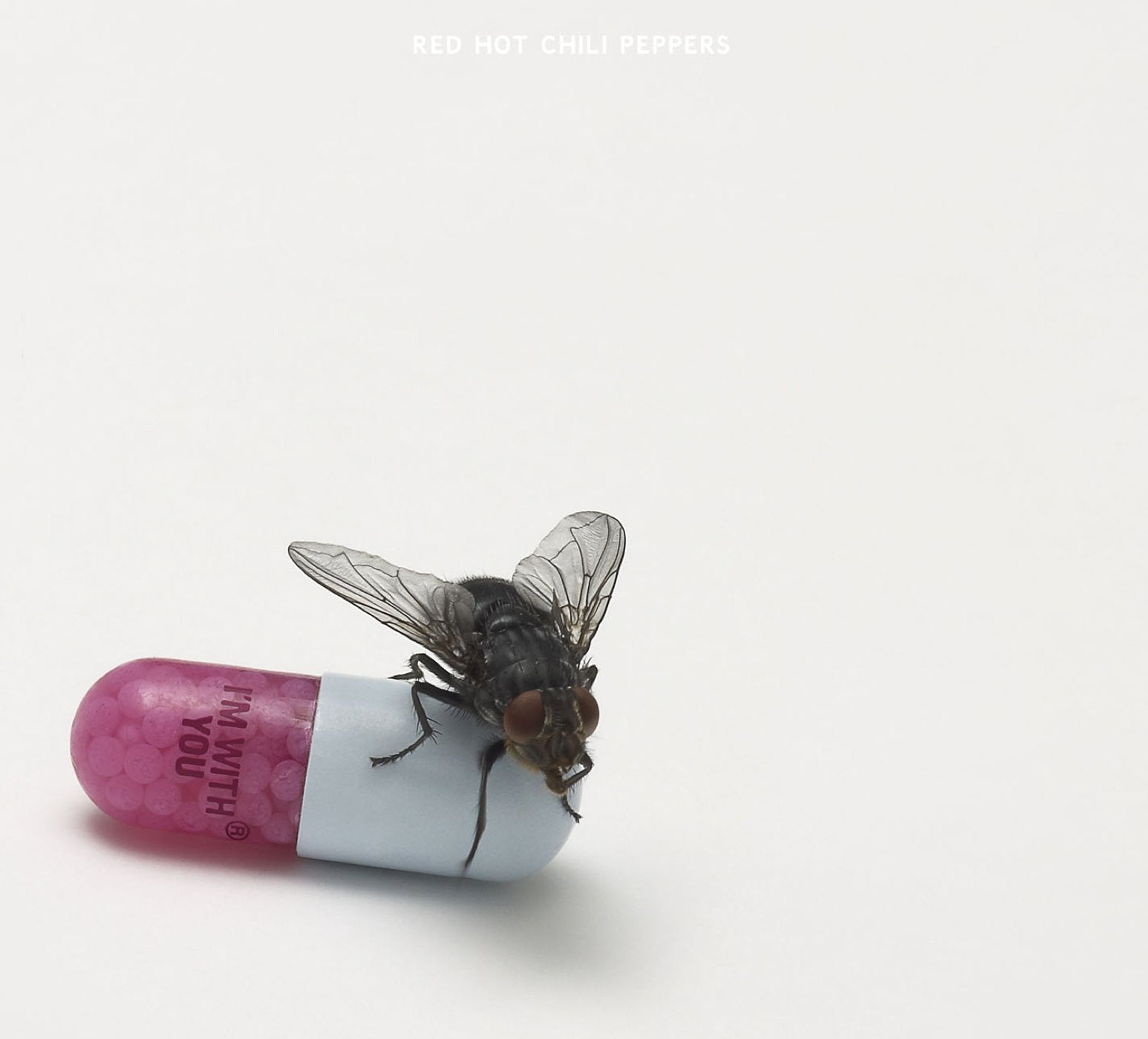 Red Hot Chili Peppers – I'm With You CD