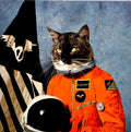 Klaxons – Surfing The Void