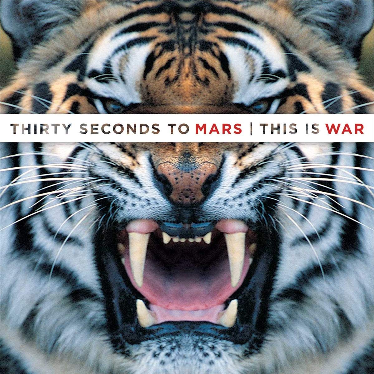 Thirty Seconds To Mars – This Is War