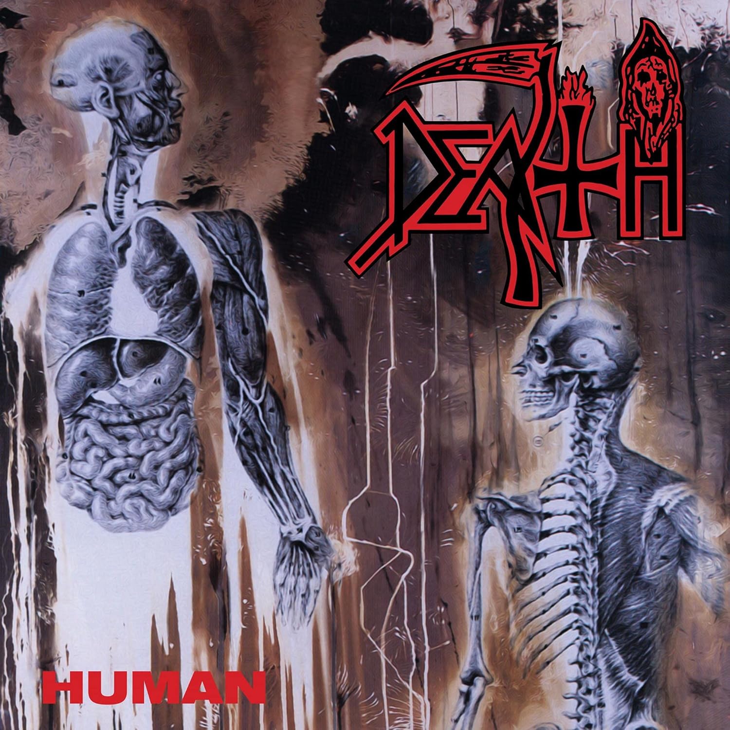 Death  - Human