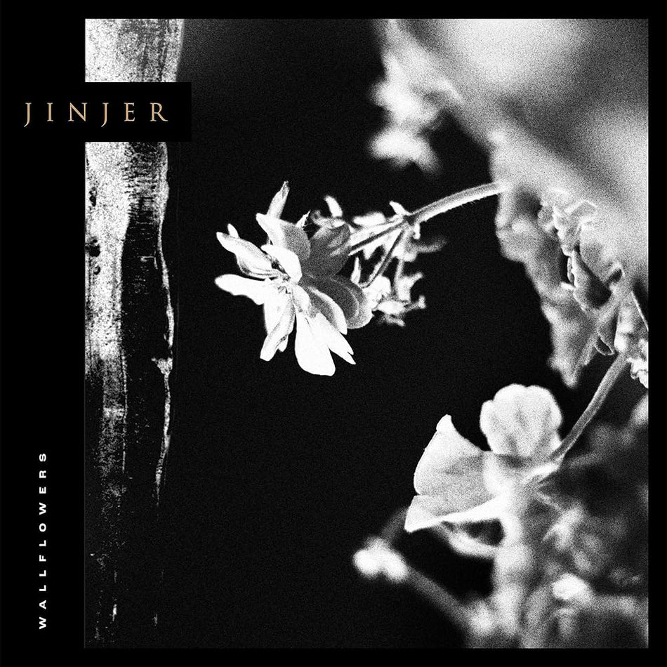 Jinjer  - Wallflowers