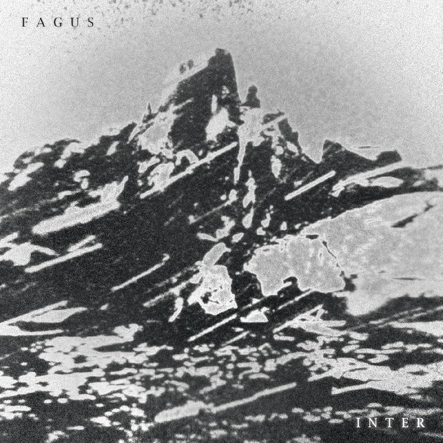 Fagus – Inter