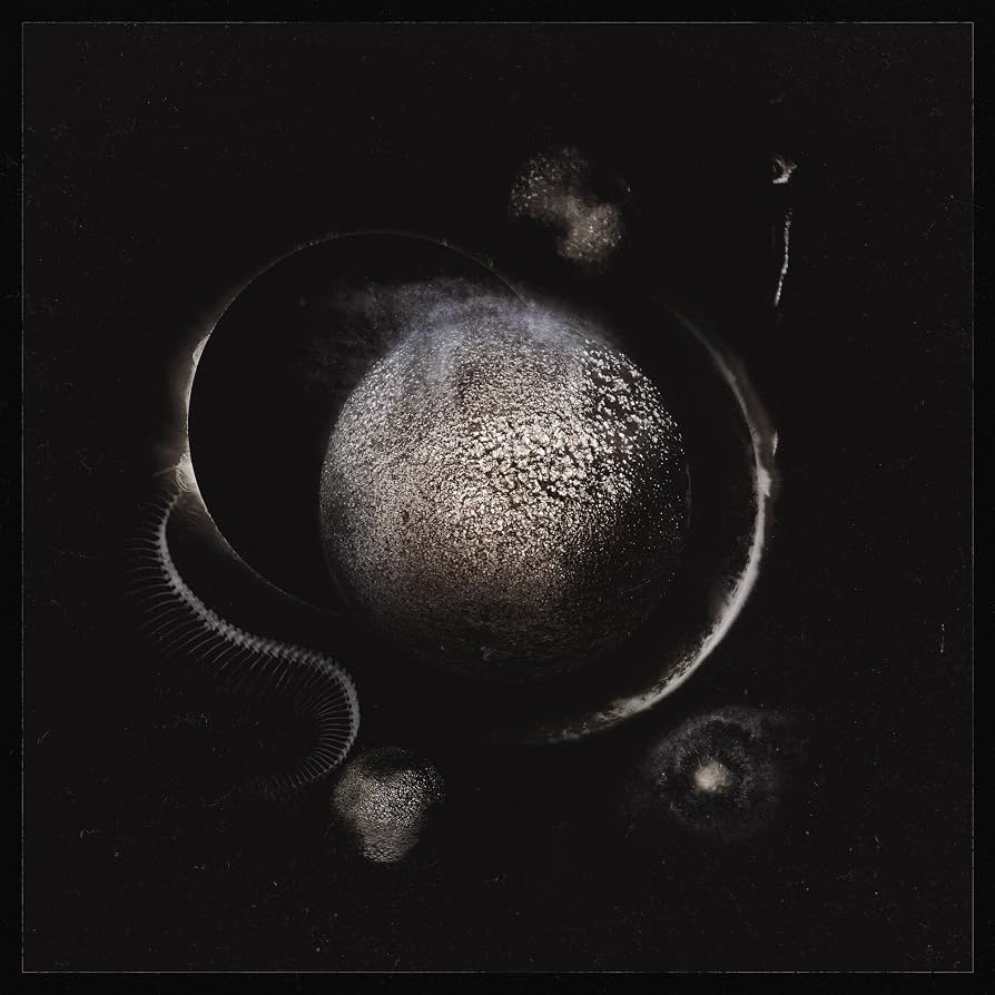 Enthroned – Cold Black Suns