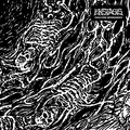 Ekstasis – Paralizing Impermanence