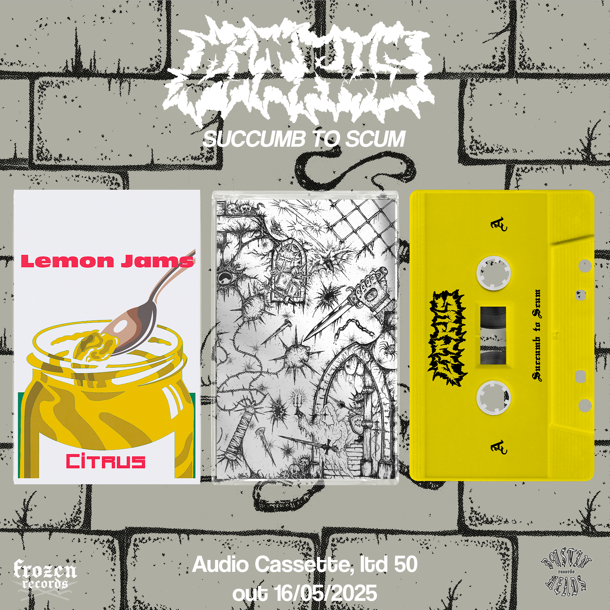 Citrus - Succumb To Scum