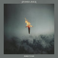 Stoned Jesus – Songs To Sun (LP)