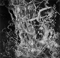 Bruit ≤ – Monolith