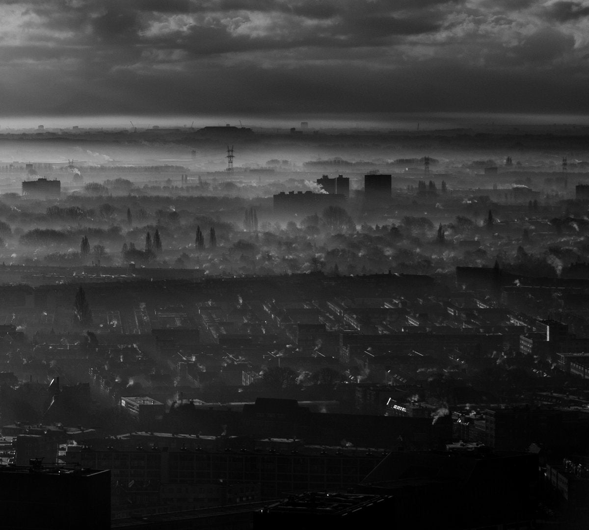 Wesenwille - I: Wesenwille & Live At Roadburn