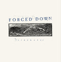 Forced Down – Liberate