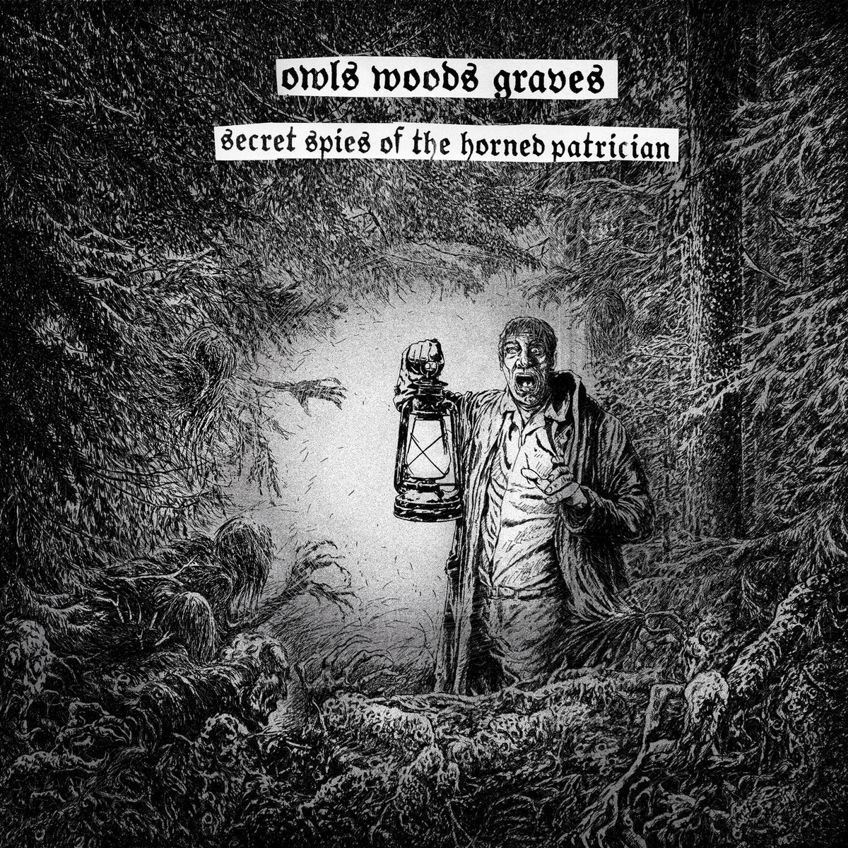 Owls Woods Graves – Secret Spies Of The Horned Patrician