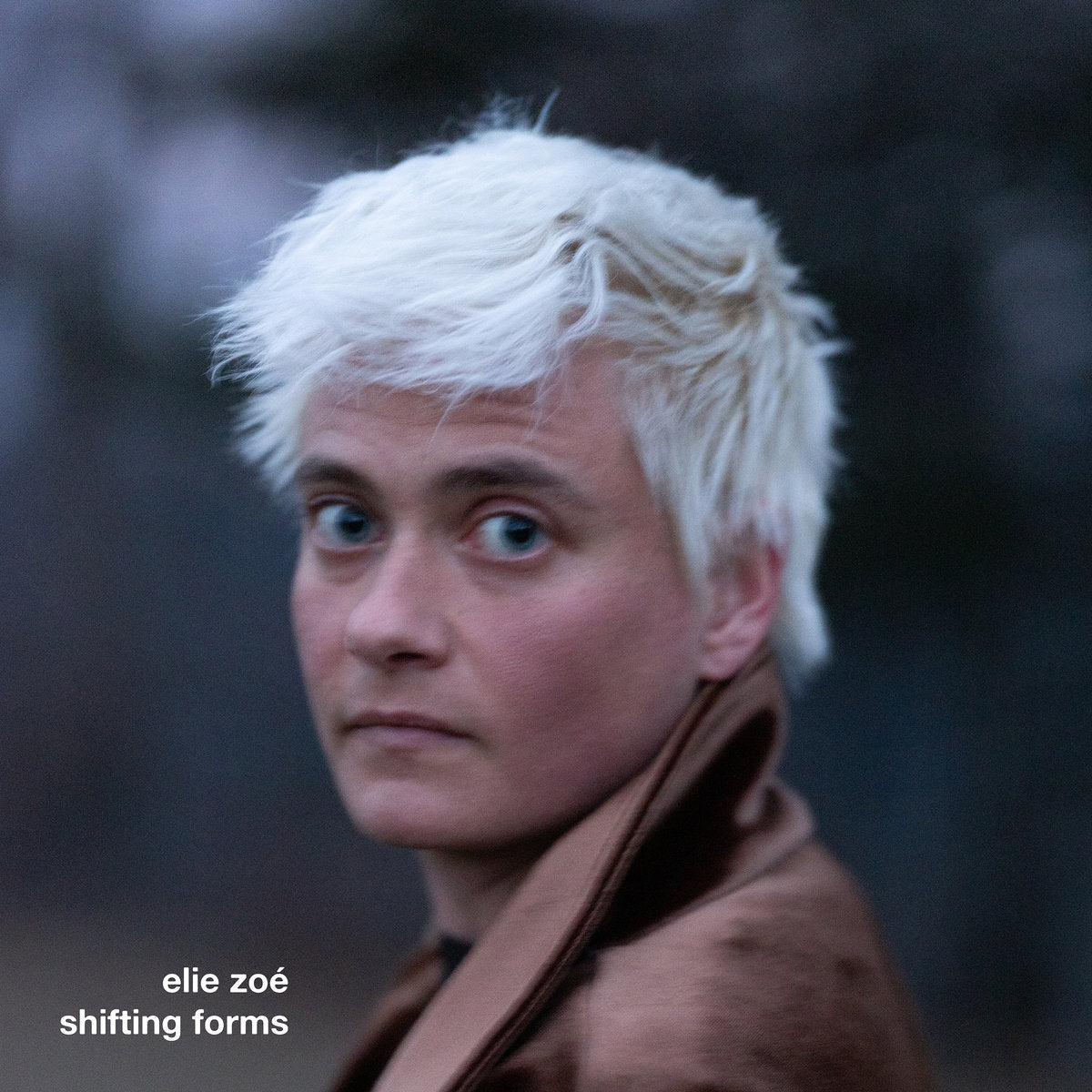 Elie Zoé – Shifting Forms