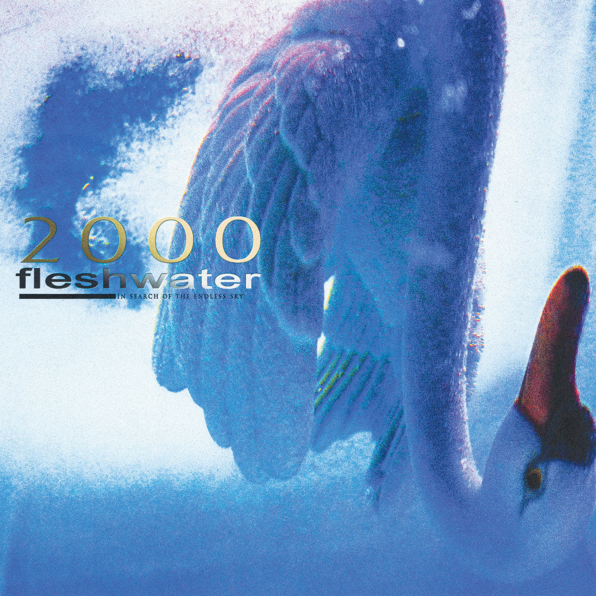 Fleshwater - 2000: In Search Of The Endless Sky