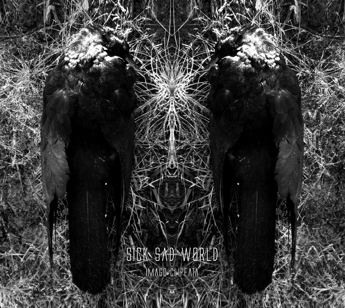 Sick Sad World - Imago Clipeata