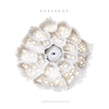 Korsakov – Anosognosia