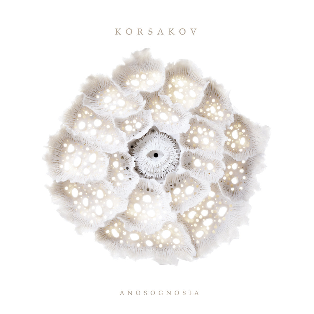 Korsakov – Anosognosia