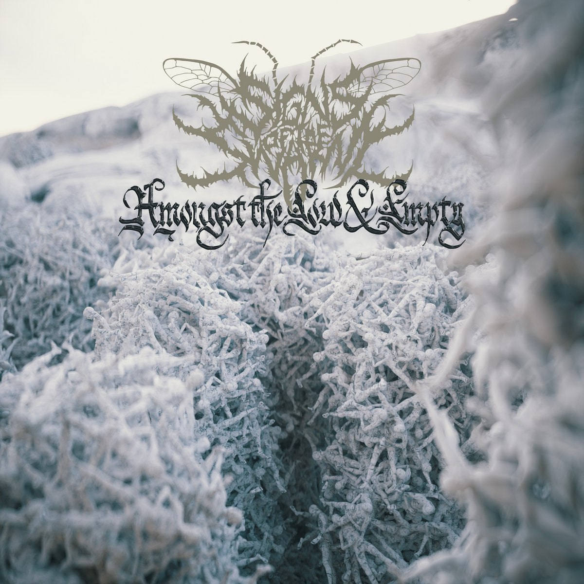 Signs Of The Swarm – Amongst The Low & Empty