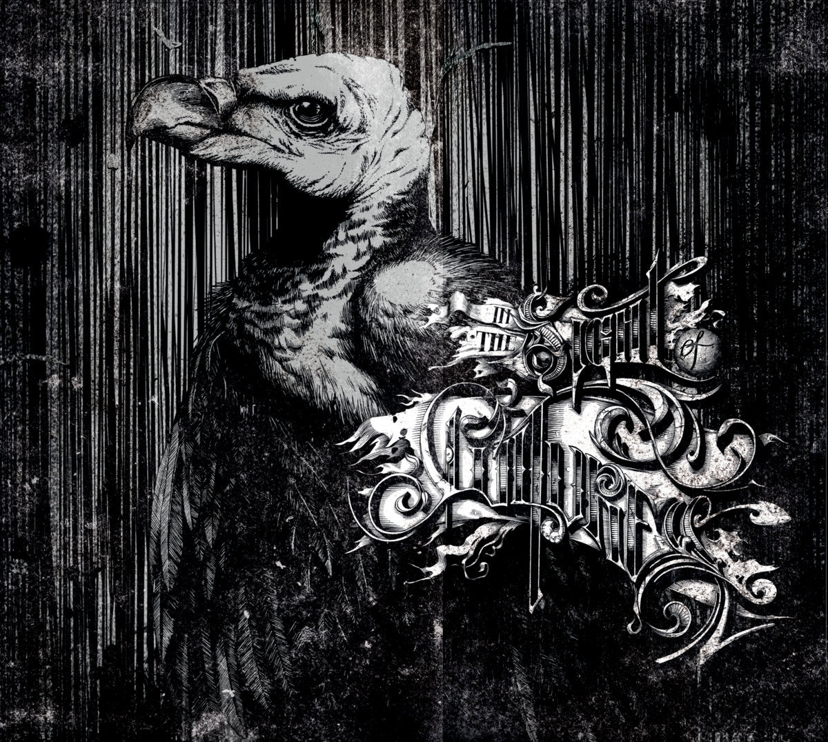 In The Sights Of Vultures - In The Sights Of Vultures