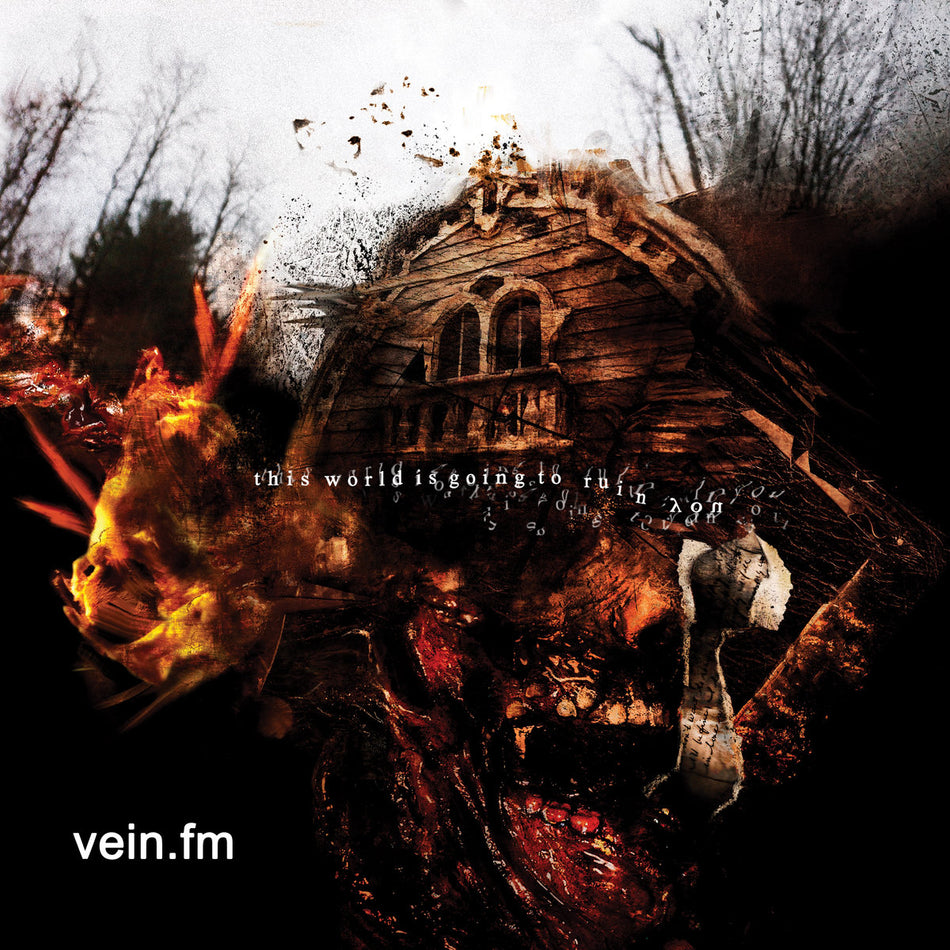 Vein  - This World Is Going To Ruin You