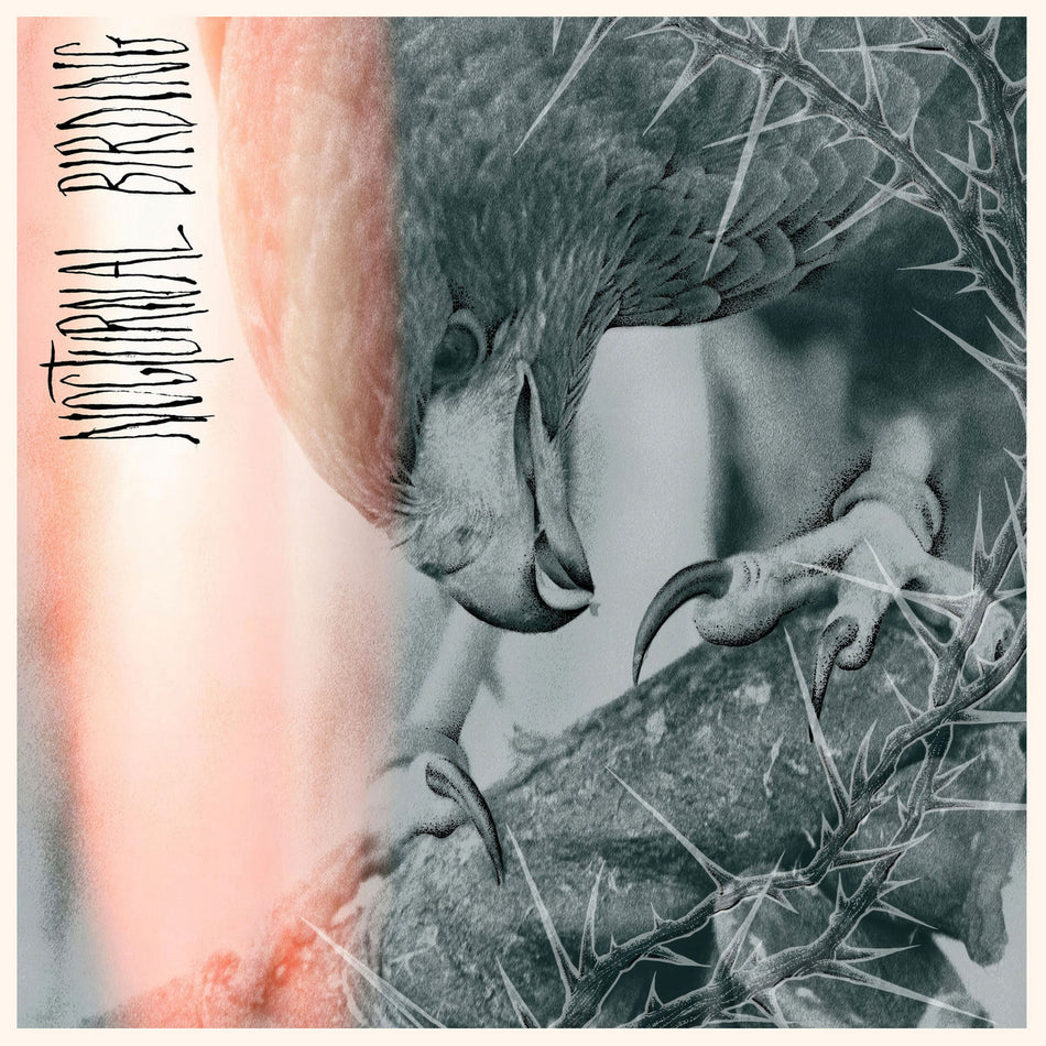 Author & Punisher – Nocturnal Birding