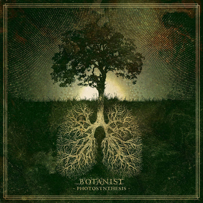 Botanist – Photosynthesis