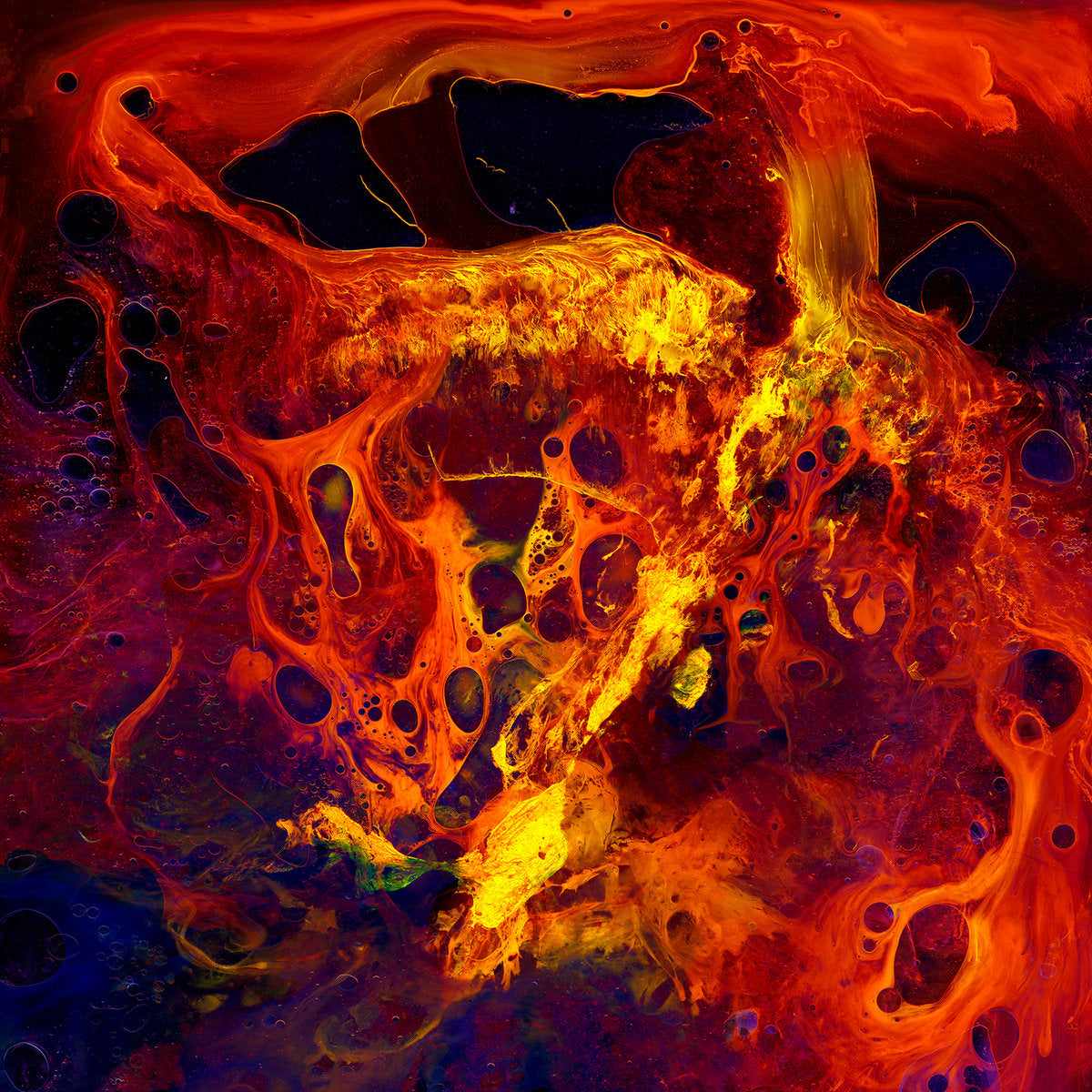 Ingrina – Nåværende Lys