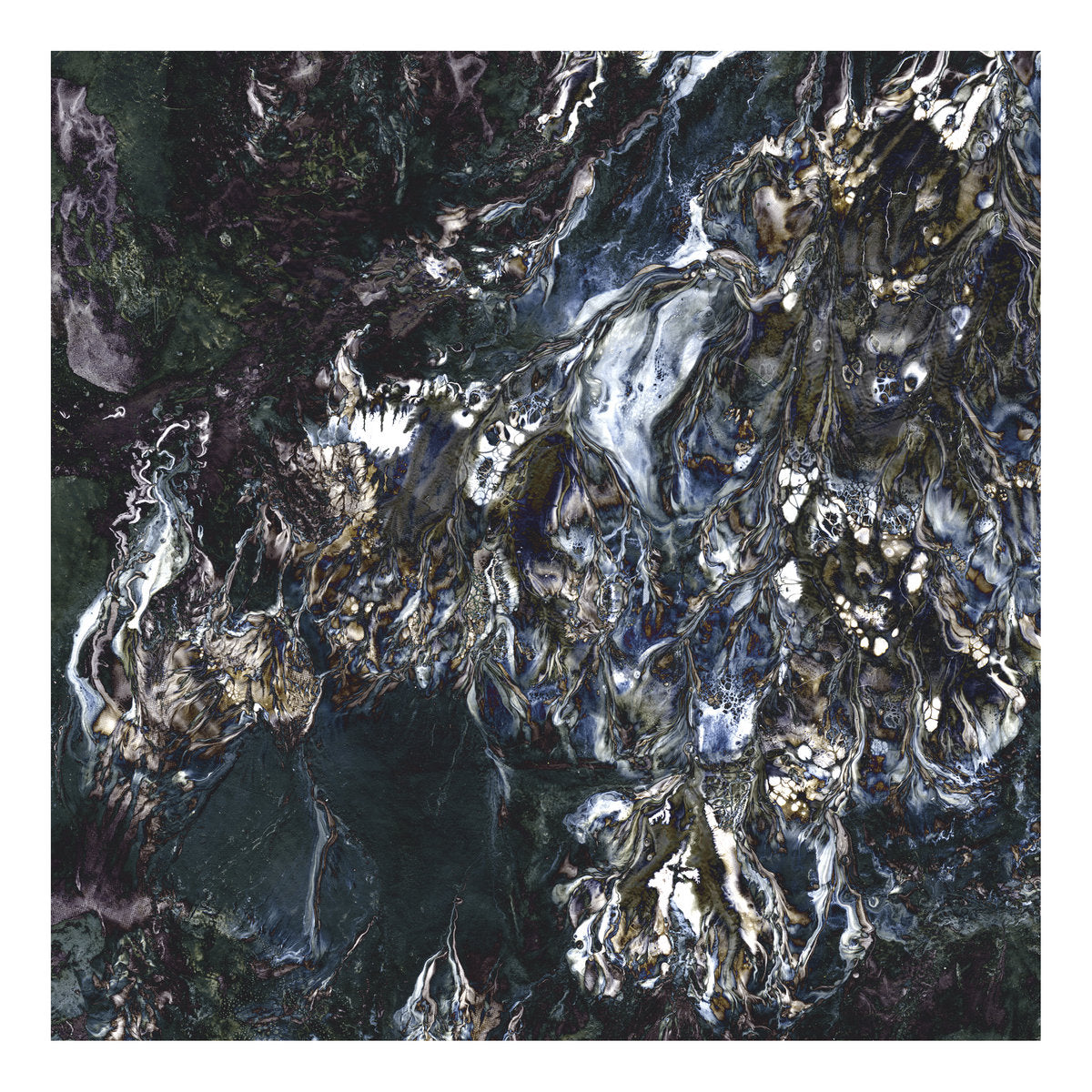 Ingrina – Siste Lys