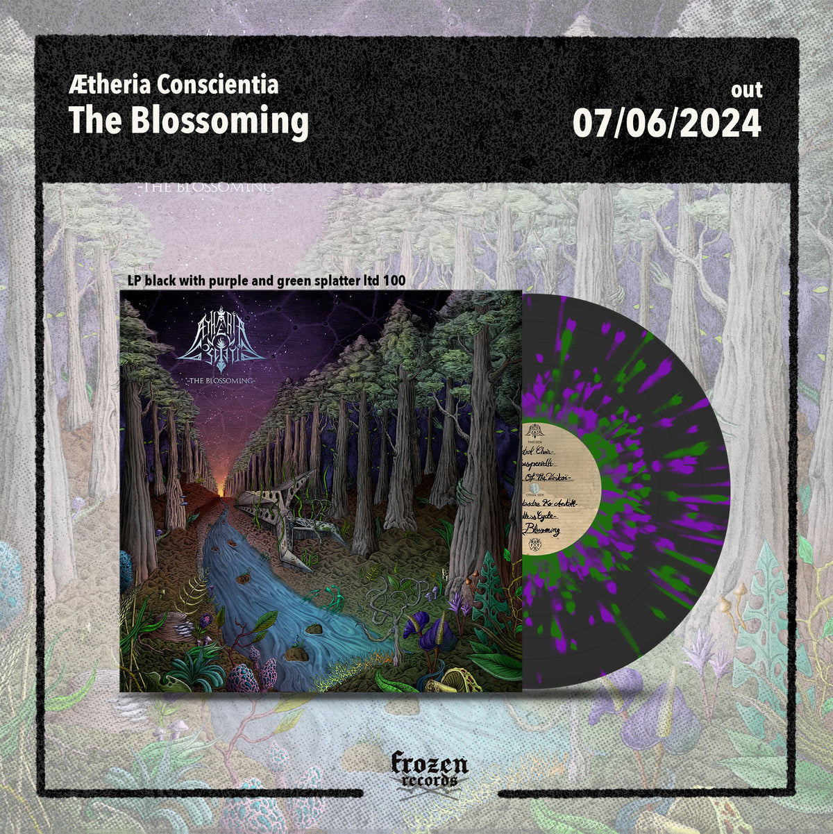 Ætheria Conscientia - The Blossoming - Frozen Records - Vinyl