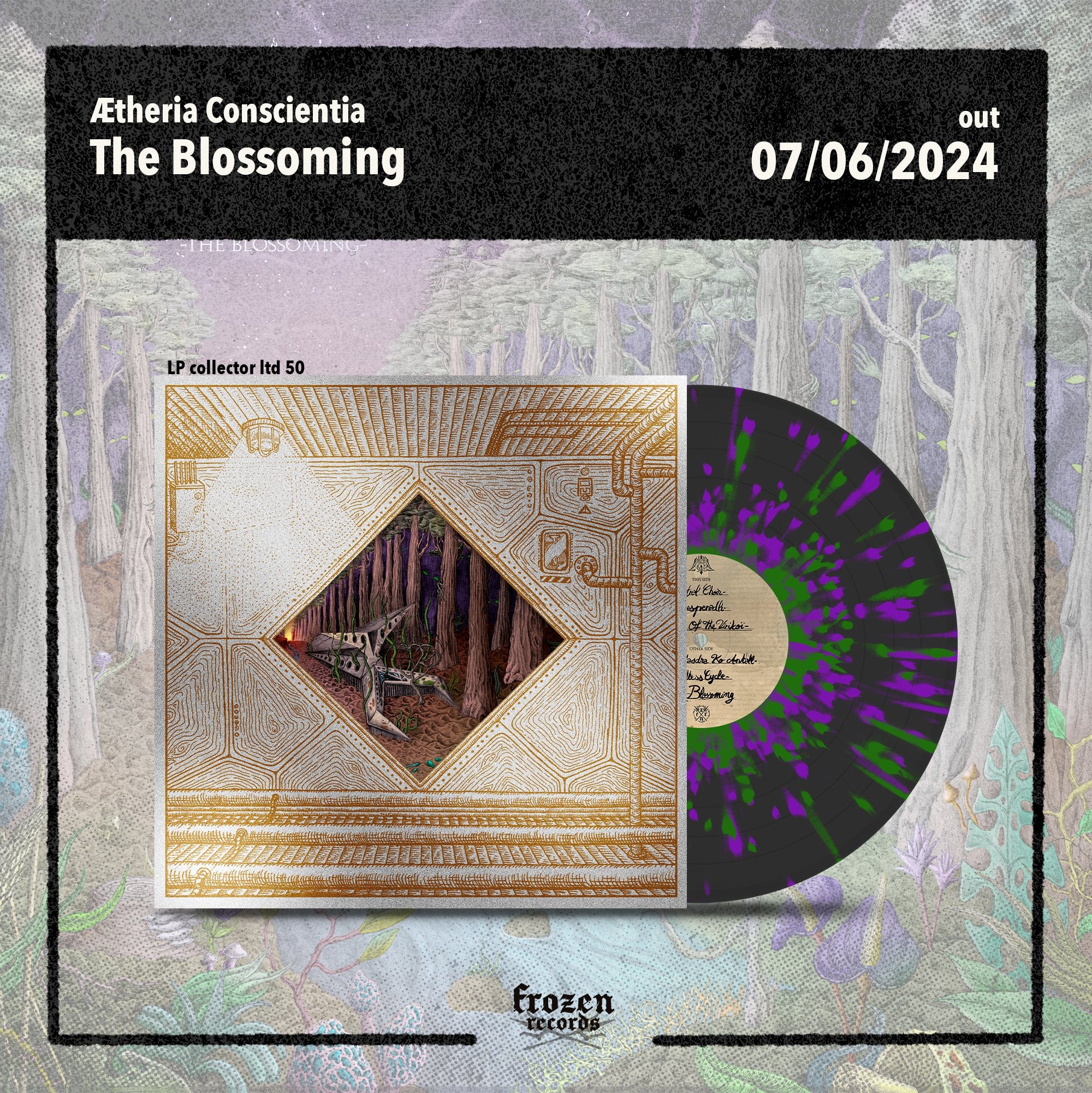 Ætheria Conscientia - The Blossoming - Frozen Records - Vinyl