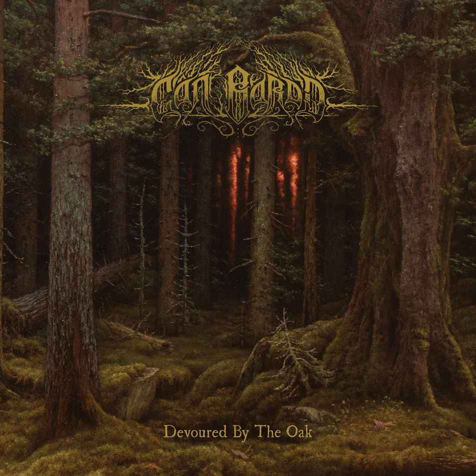 Cân Bardd – Devoured By The Oak