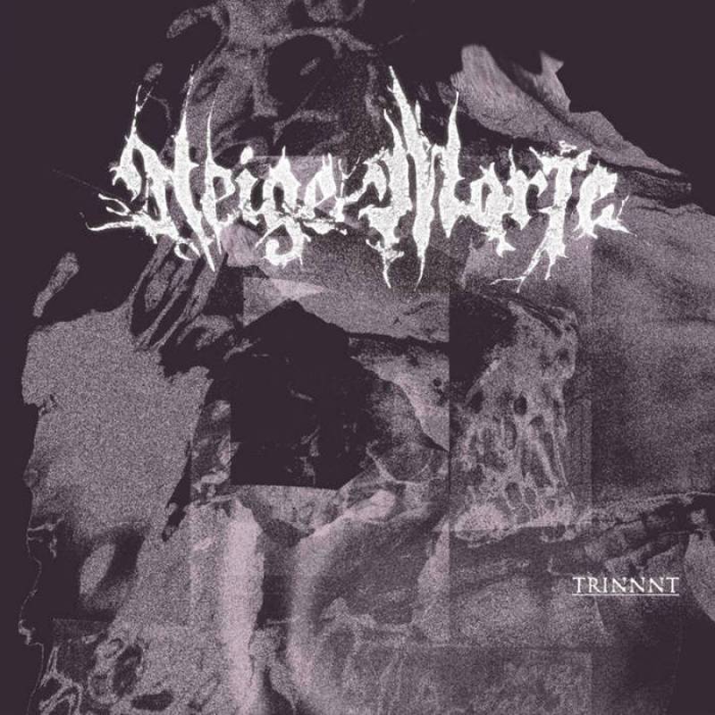 Neige Morte – Trinnnt