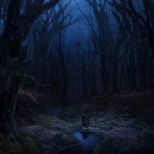 Woods Of Desolation - Torn Beyond Reason - Frozen Records - Vinyl